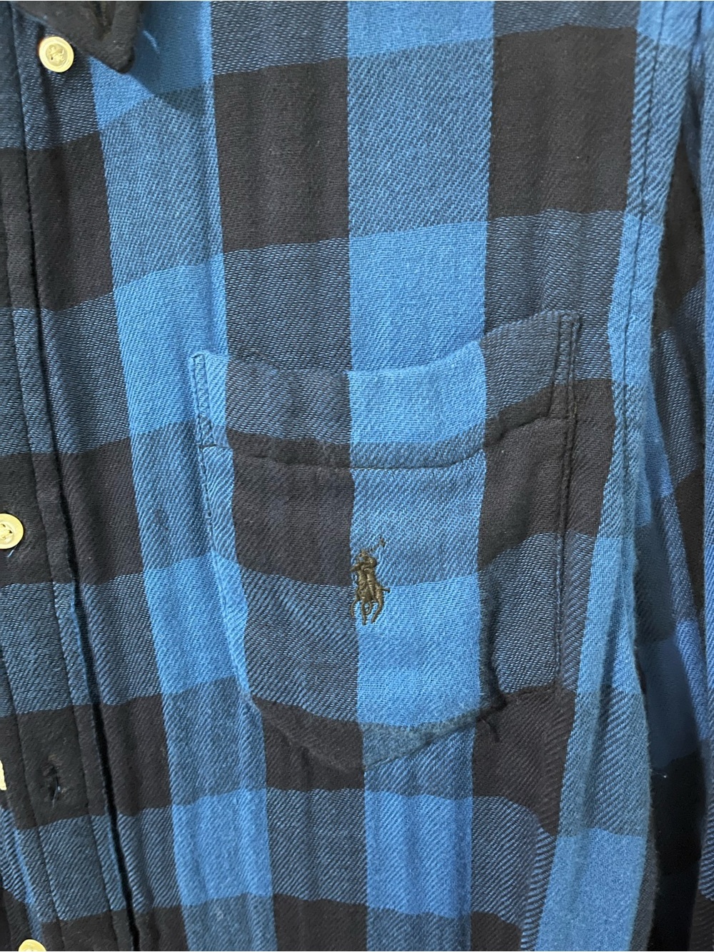 Polo by Ralph Lauren Blue & Black Plaid Button-Down Shirt